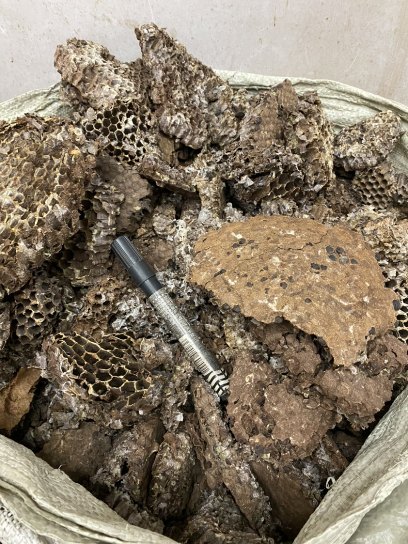 中药材蜂房天然马蜂窝块无虫卵优质好货批发