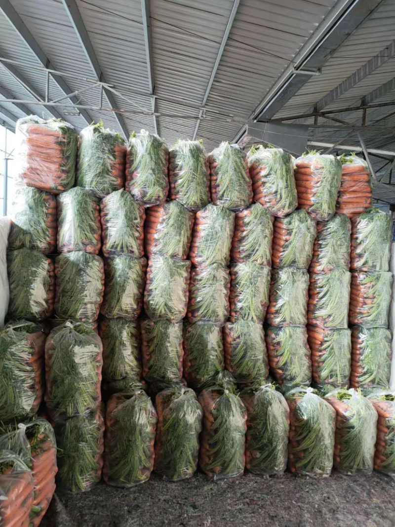 胡萝卜萝卜三红胡萝卜，精品胡萝卜，自己的种植基地