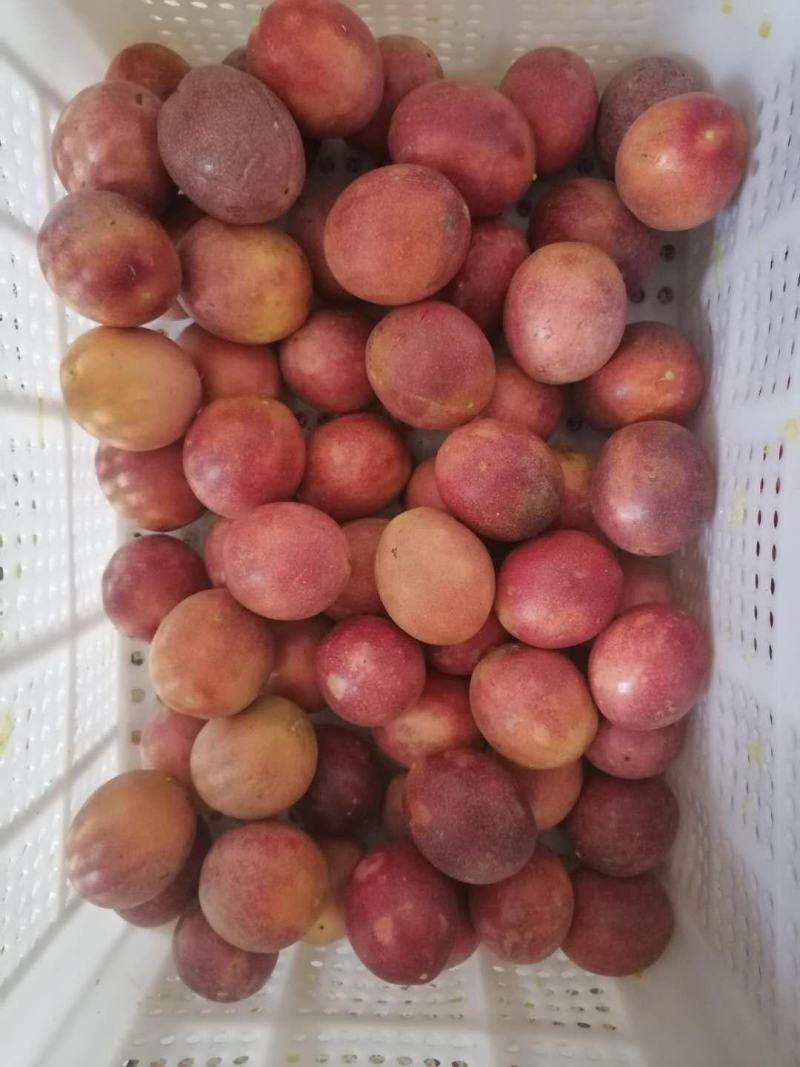 现摘现卖新鲜水果紫色百香果