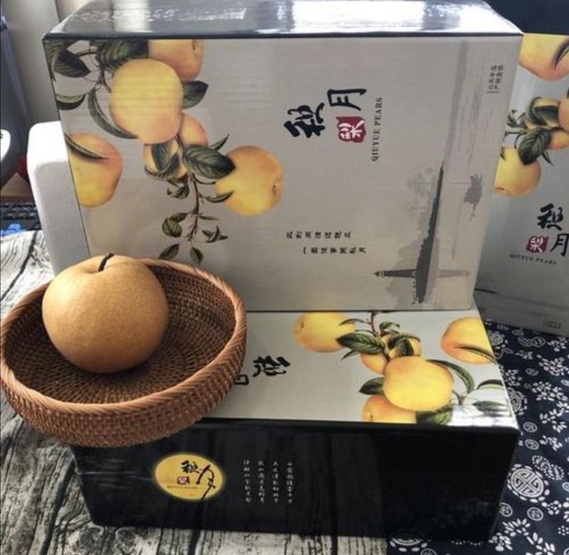 【精选】秋月梨树苗秋月梨树嫁接苗80～100公分