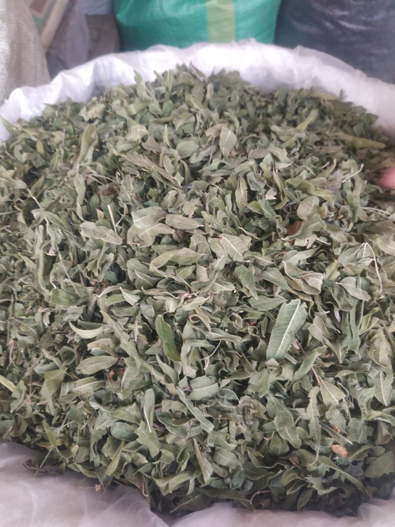 罗布麻～新货～质量保证～1公斤起售～诚信合作~
