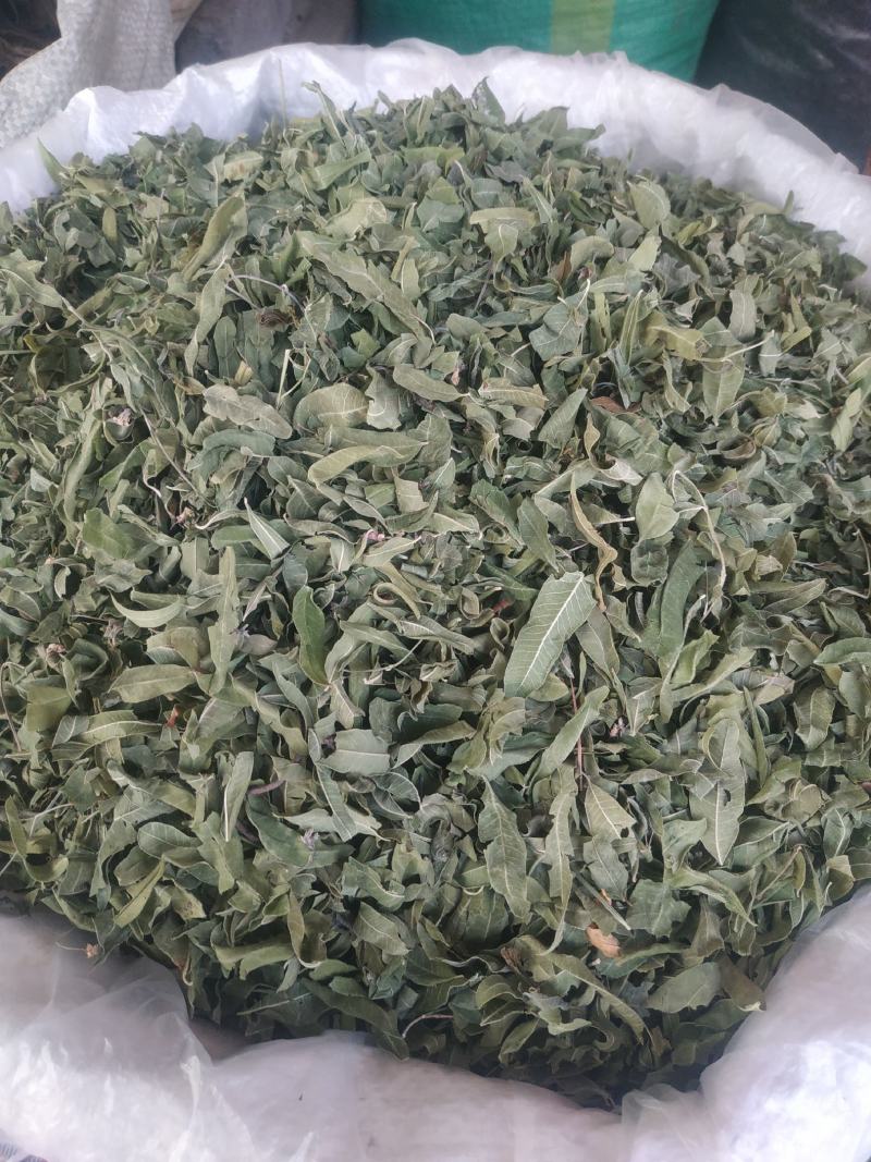 罗布麻～新货～质量保证～1公斤起售～诚信合作~