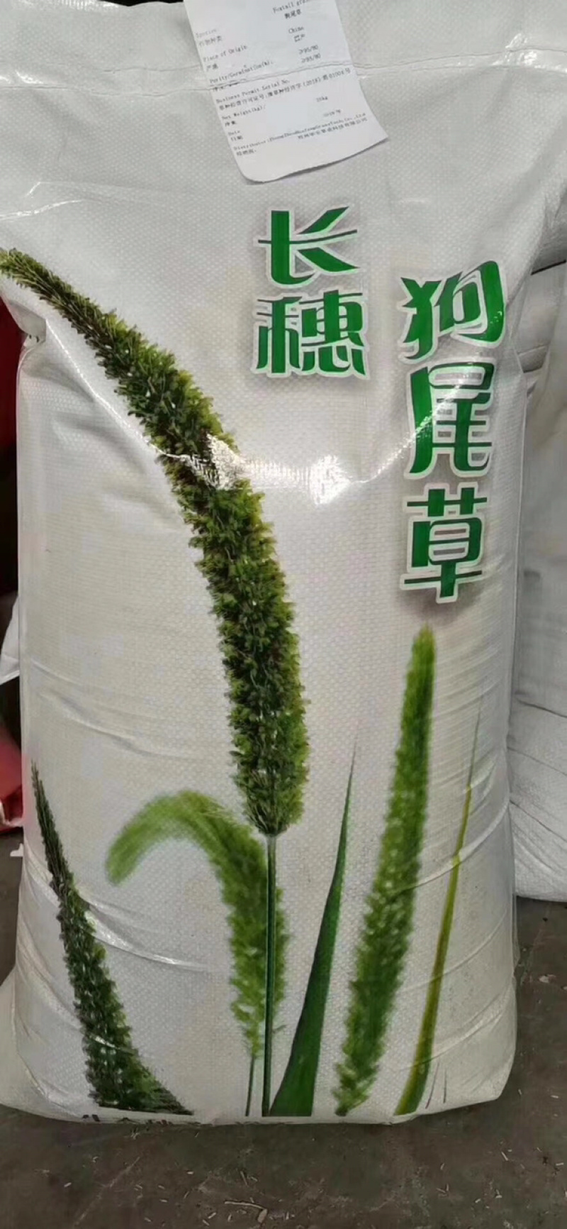 狗尾草种子护坡种子观赏性草种可做绿化牧草用护坡狗尾草