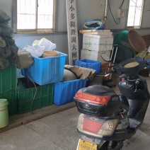 【正宗】阳澄湖大闸蟹招代理，全国顺丰包邮