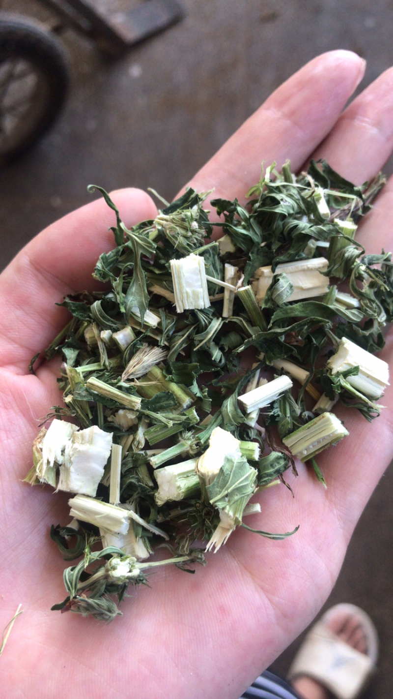 益母草青色新货无硫山东益母草坤草泡脚益母草