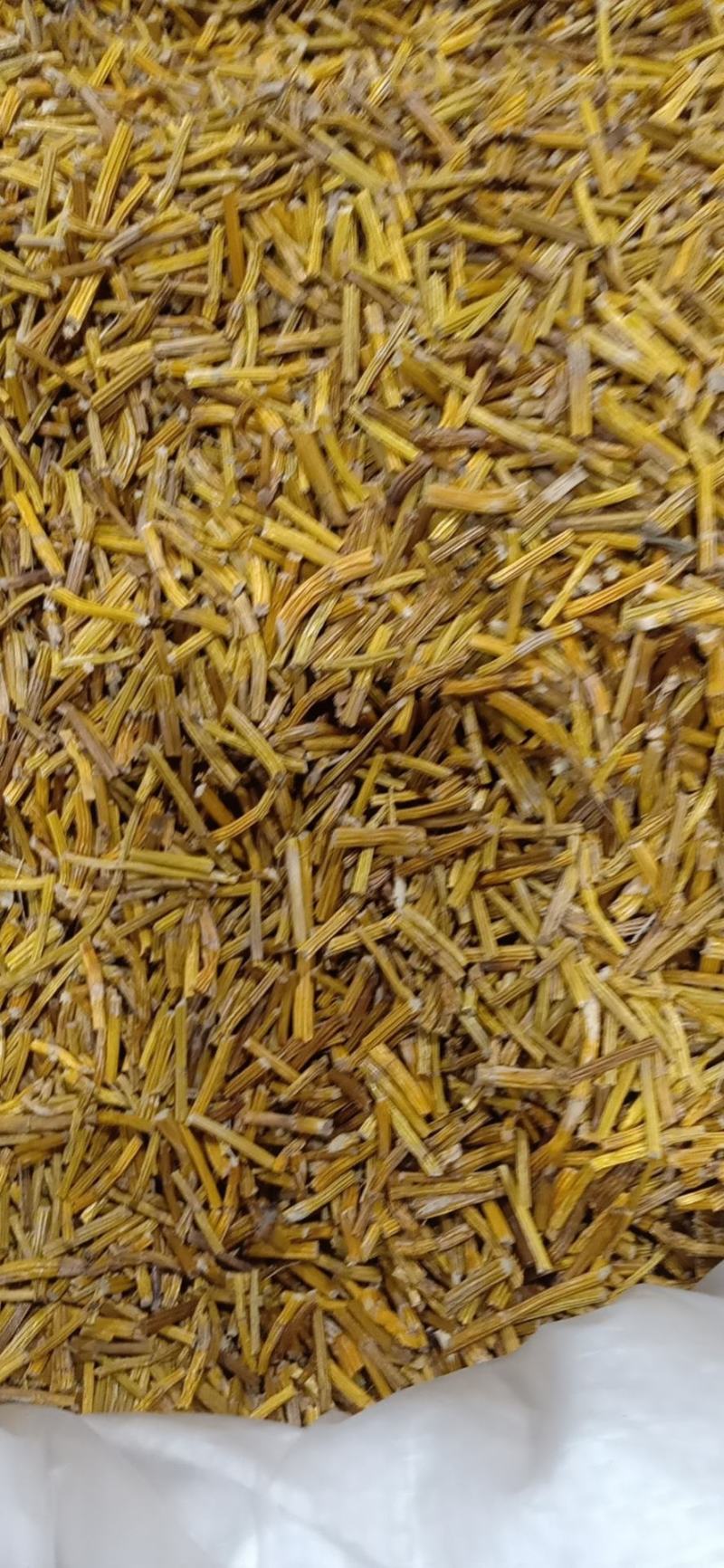 天山雪莲花新疆雪莲花天山雪莲雪莲花泡酒雪莲花茶超大朵正品