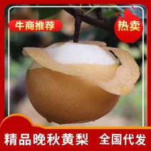 秋月梨。超甜口感。全国代发。欢迎咨询。。
