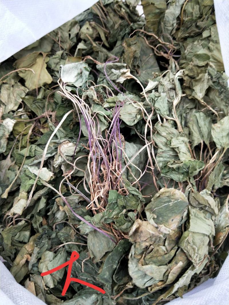 云南青天葵，大小叶分开。