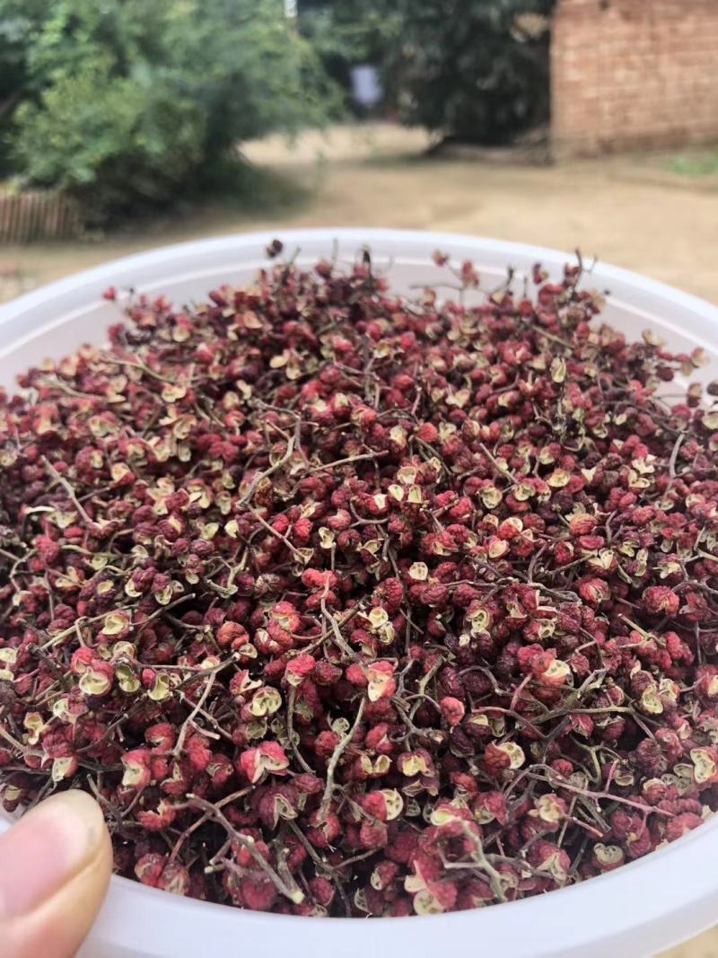 云南大红袍花椒花椒，红色