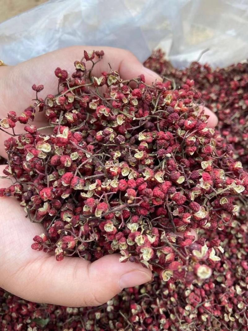 云南大红袍花椒花椒，红色