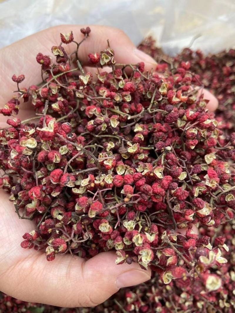 云南大红袍花椒花椒，红色