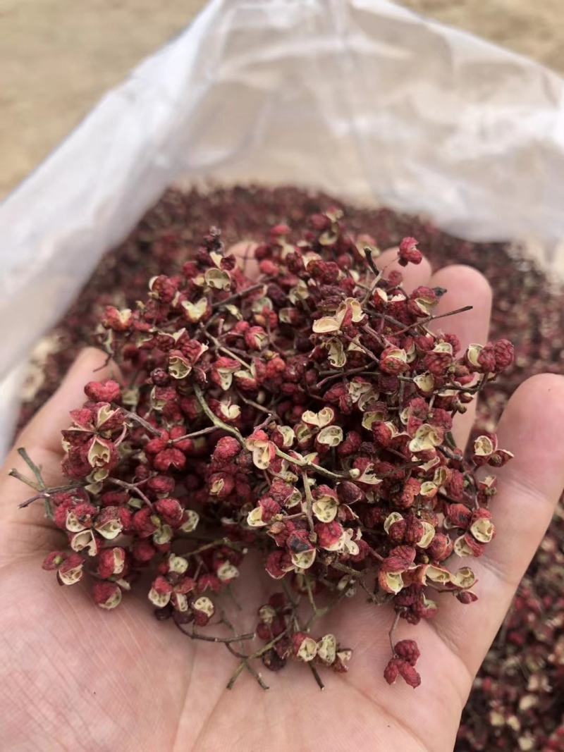 云南大红袍花椒花椒，红色