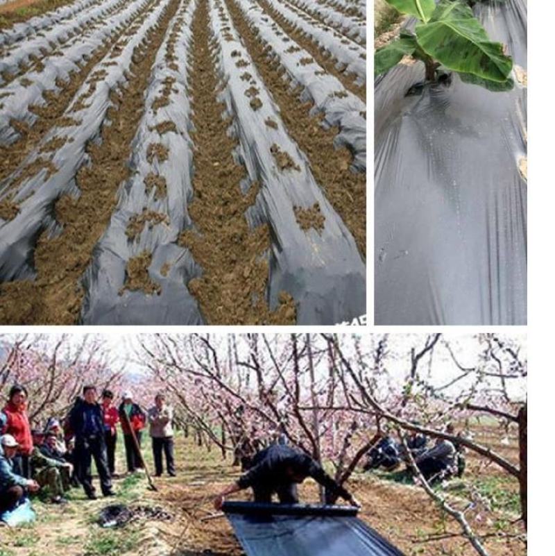 黑地膜除草果园农用地膜蔬菜大棚塑料薄膜保温膜防草膜包邮