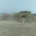 花生秧，草场直销牛羊马兔草料干净无霉变无地膜