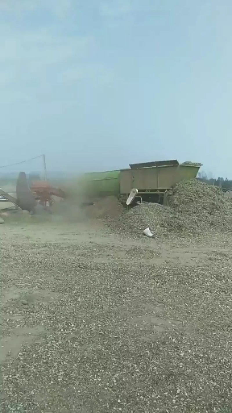 花生秧，草场直销牛羊马兔草料干净无霉变无地膜