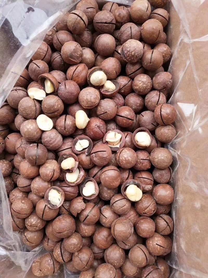 夏威夷果，精选优质大颗粒，无坏果，2斤起/包邮