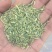 国产新货绿小茴香新疆小茴香统装小茴香