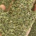 国产新货绿小茴香新疆小茴香统装小茴香