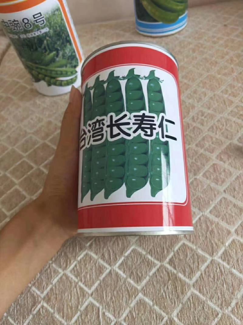 高端长寿仁豌豆种子专门吃豌豆荚口感好