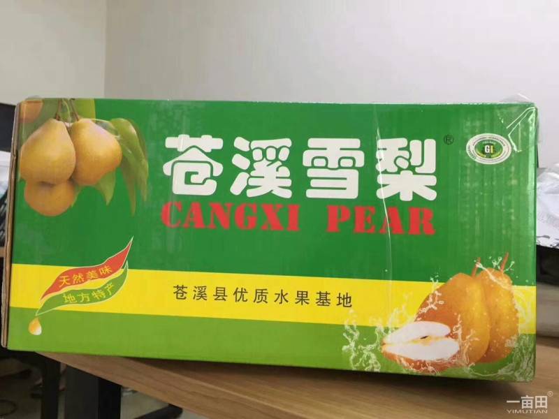苍溪雪梨热销中，汁细无渣