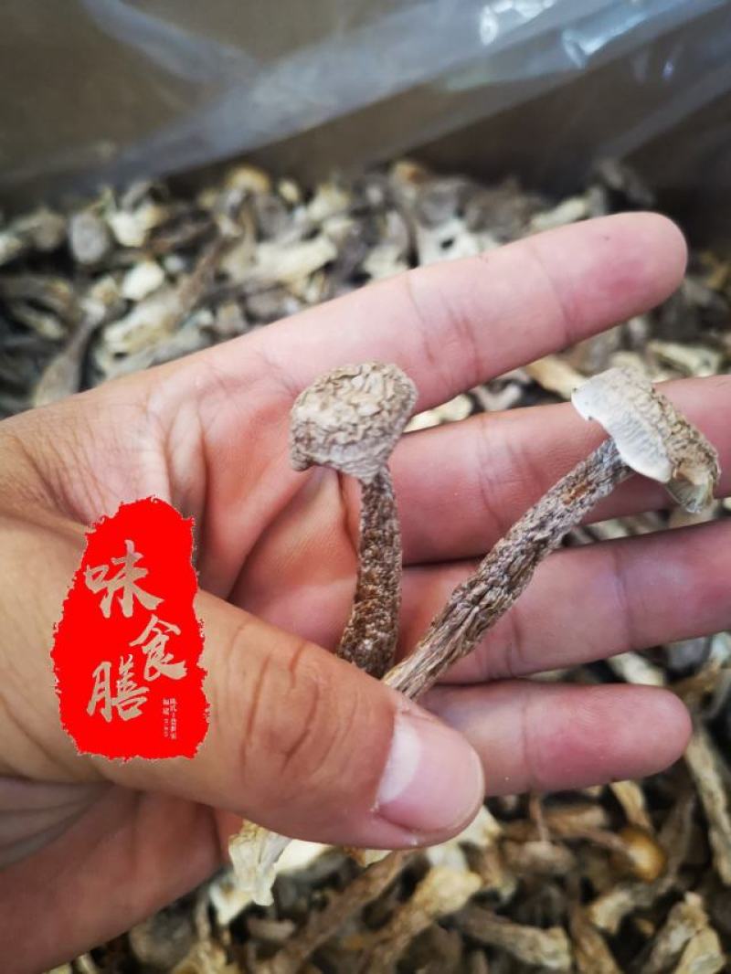 真食膳鹿茸菇细条中条粗条各种型号规格