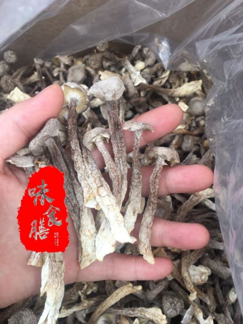 真食膳鹿茸菇细条中条粗条各种型号规格