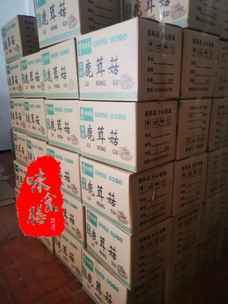 真食膳鹿茸菇细条中条粗条各种型号规格