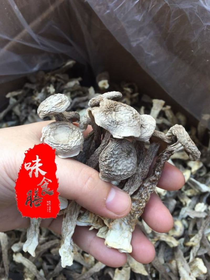 真食膳鹿茸菇细条中条粗条各种型号规格