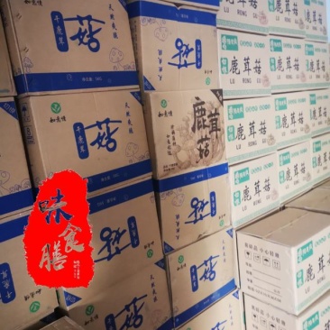 真食膳鹿茸菇细条中条粗条各种型号规格