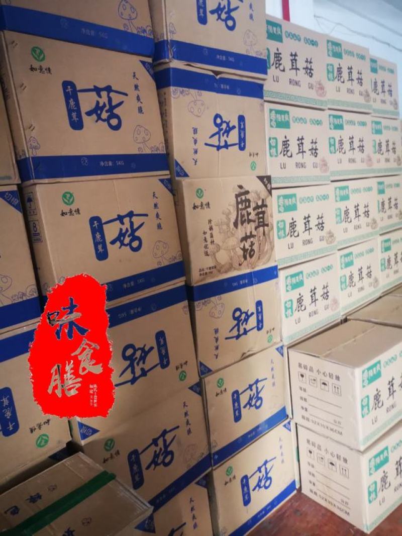 真食膳鹿茸菇细条中条粗条各种型号规格