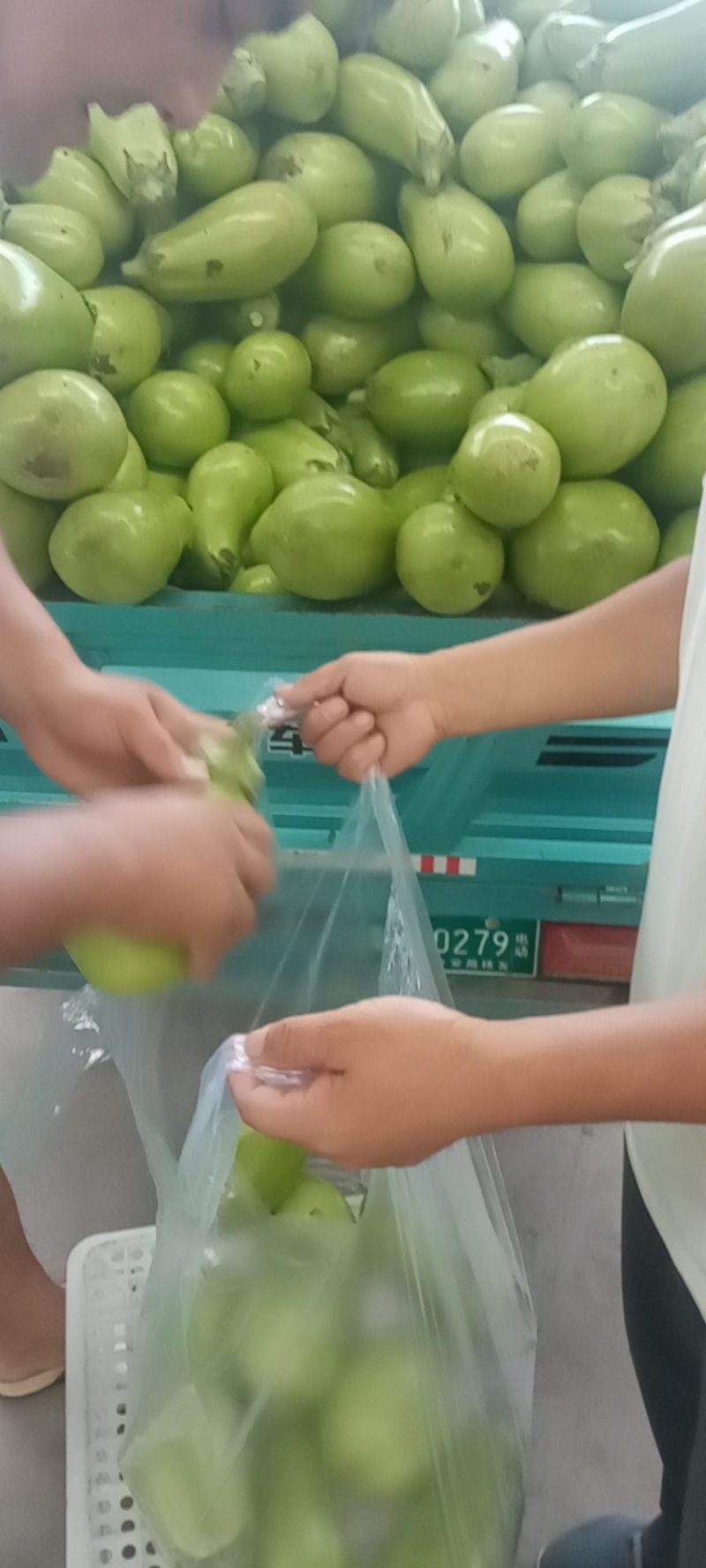 精品青茄子，少量成熟开始上市，