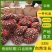 鲜板栗小粒零售1000斤起批包邮批发1000斤物流