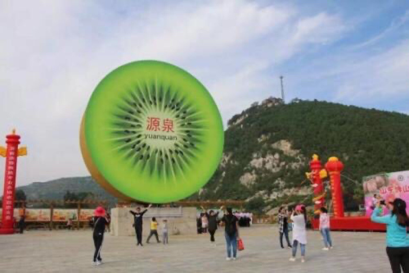 山东淄博博山碧玉猕猴桃大量整车批发，欢迎提前订购