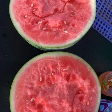 西瓜小吊瓜。。。。。。