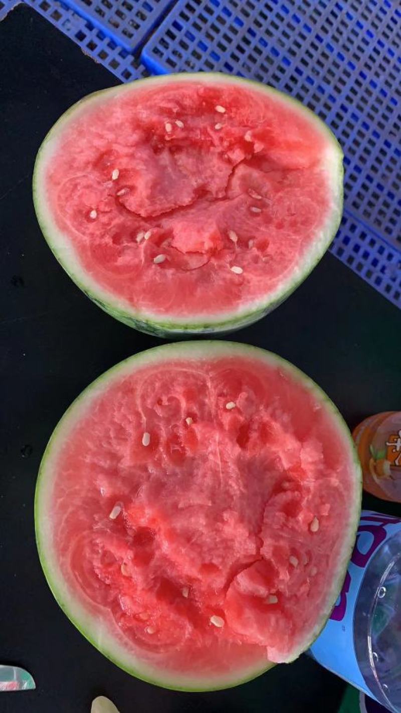 西瓜小吊瓜。。。。。。