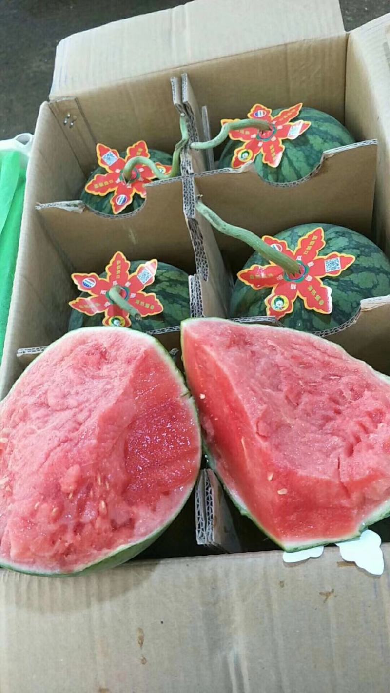 西瓜小吊瓜。。。。。。