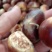金寨板栗2021年精选菜栗种特选个鲜板栗