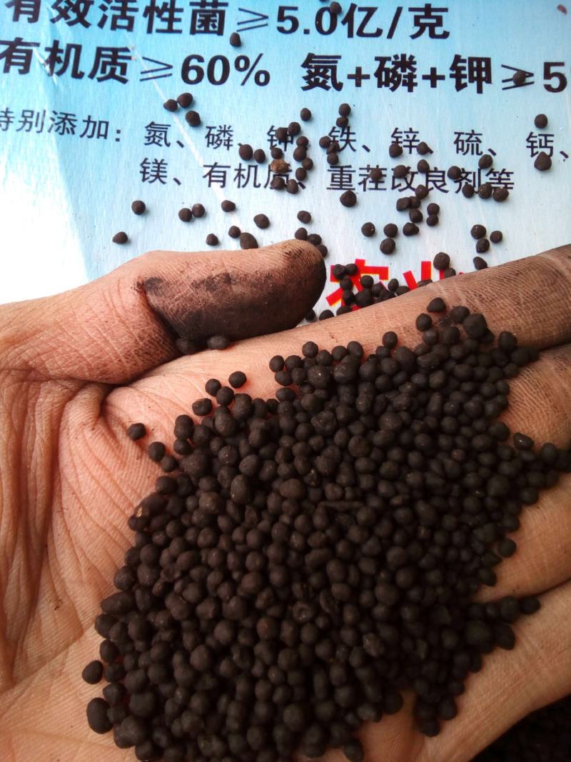 厂家供应纯发酵羊粪内蒙古发酵有机肥干羊粪蛋