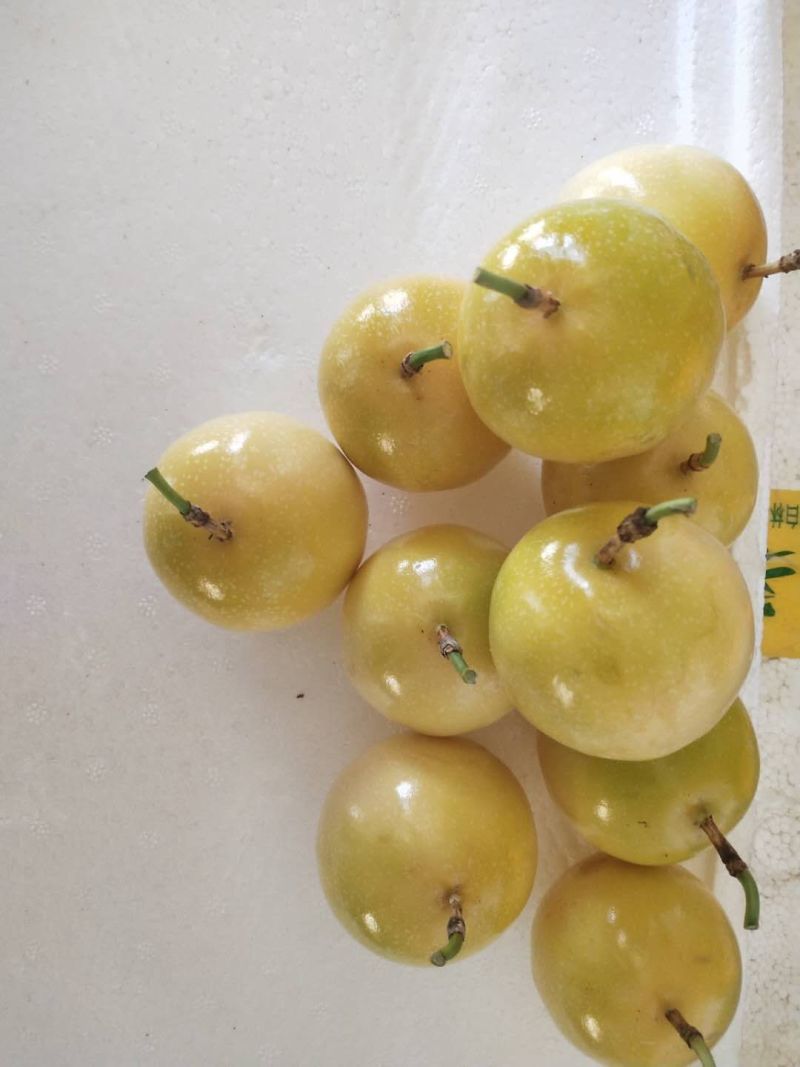 黄金百香果芭乐味、石榴味