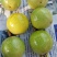 黄金百香果芭乐味、石榴味