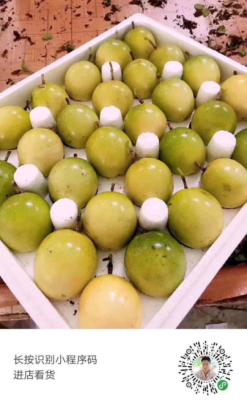 黄金百香果芭乐味、石榴味