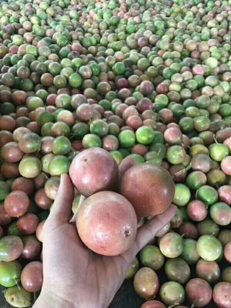 百香果好甜又大靓货质量保证