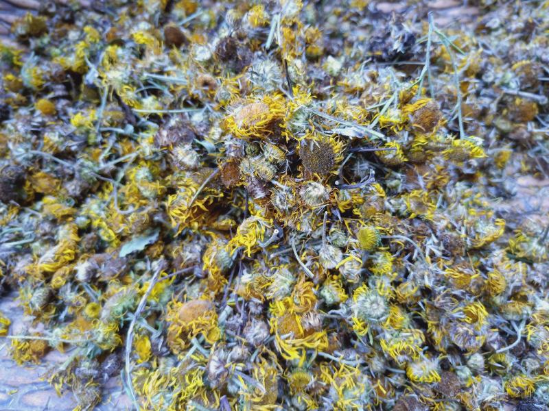 璇覆花全干货，野生高含量