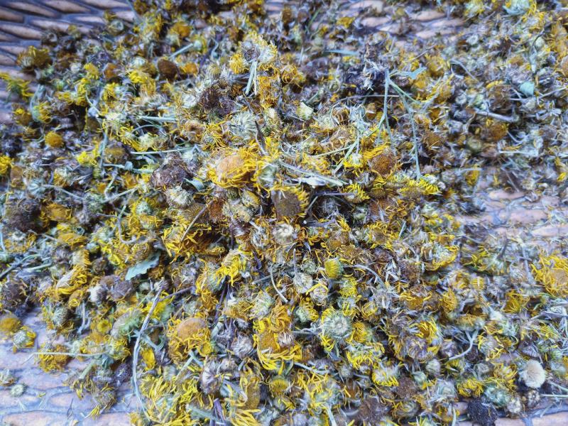 璇覆花全干货，野生高含量