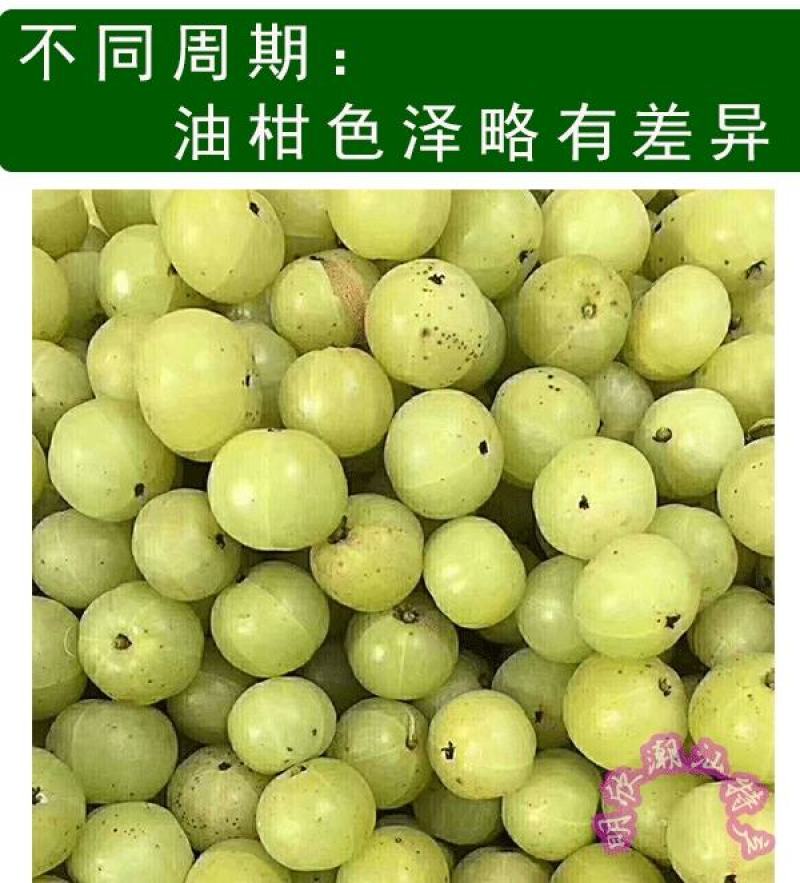 潮汕油甘果新鲜当季水果金灶产地批发适合生吃泡酒煲汤