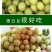 潮汕油甘果新鲜当季水果金灶产地批发适合生吃泡酒煲汤
