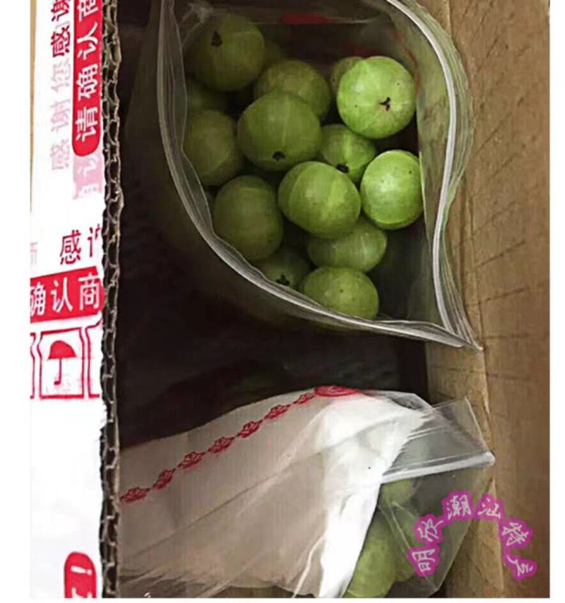 潮汕油甘果新鲜当季水果金灶产地批发适合生吃泡酒煲汤