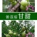 潮汕油甘果新鲜当季水果金灶产地批发适合生吃泡酒煲汤