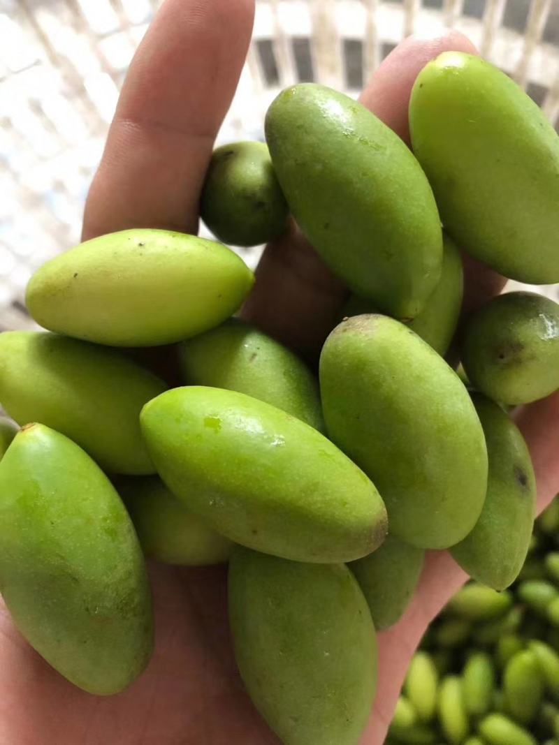 潮汕青橄榄新鲜当季水果金灶产地批发适合生吃泡酒腌制