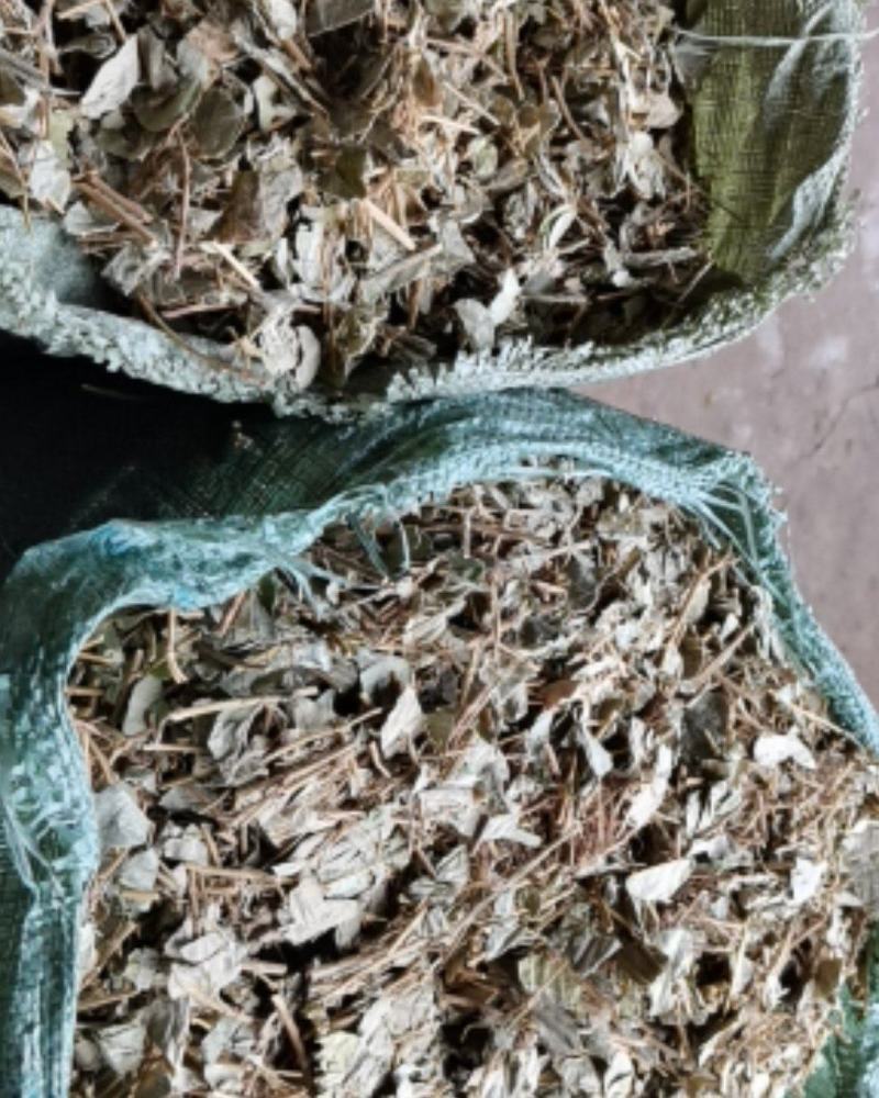 广金钱草各种规格，大量低价供货，基地直供，一手货源